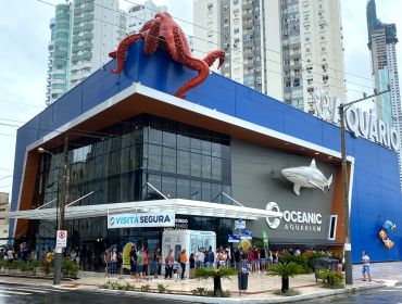 Mergulho sem se molhar: Por que o Oceanic Aquarium transforma a sua viagem a Balneário Camboriú
